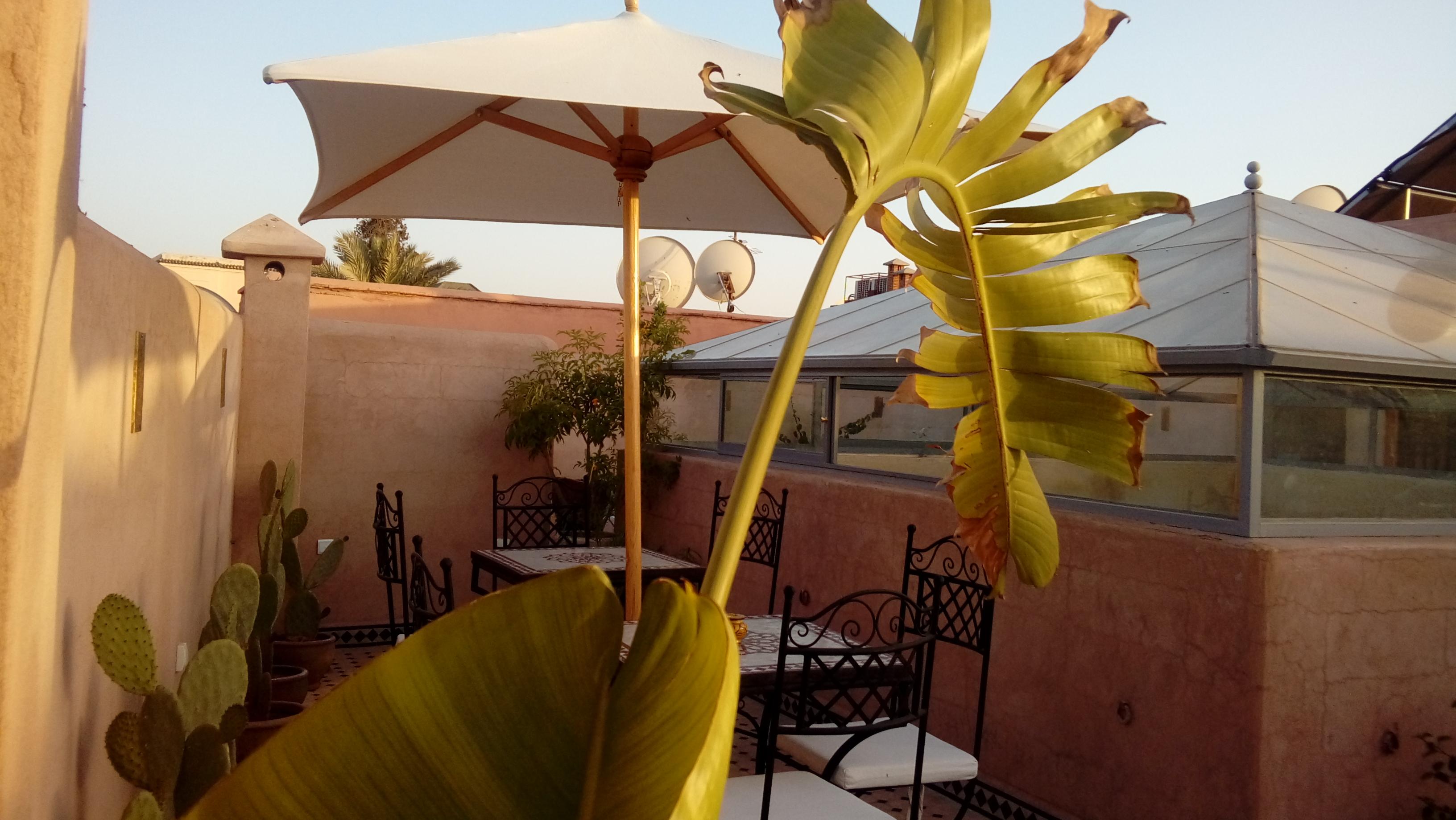 Riad Miral Марракеш Екстер'єр фото